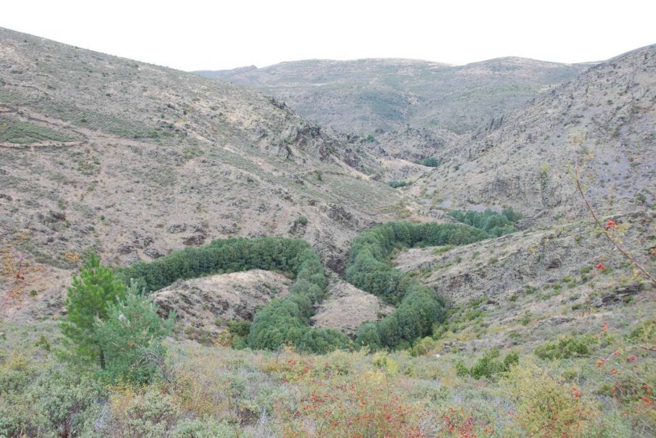Reserva fluvial del río Pelagallinas